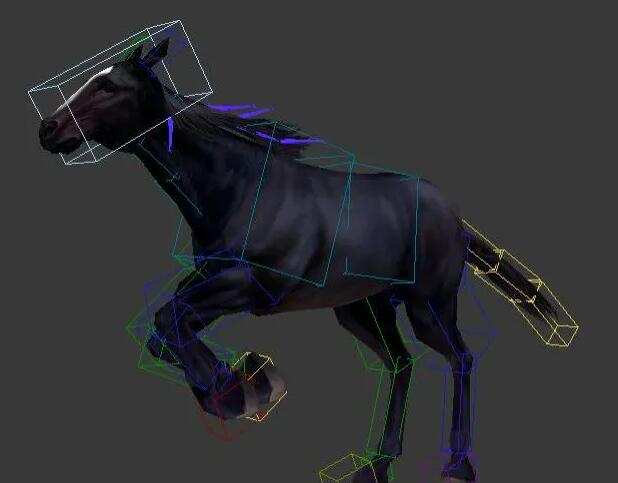 一套常见动物模型 带骨骼绑定和动作