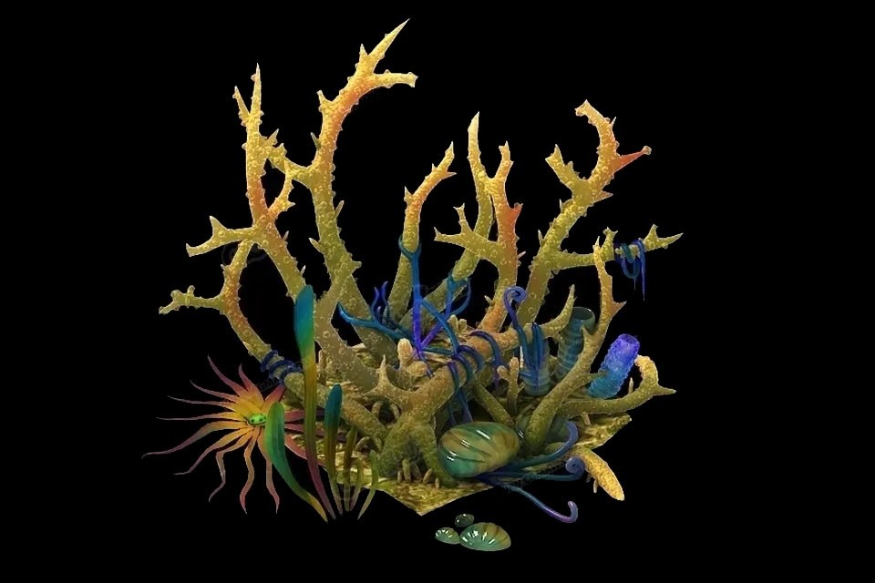 海底植物珊瑚3D游戏模型