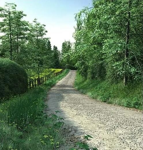 农村道路模型下载