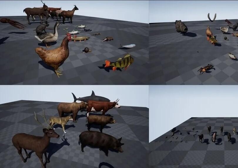动物模型包 Animal Pack Ultra 2