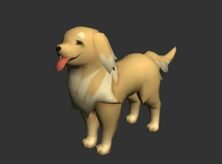 可爱的金毛犬
