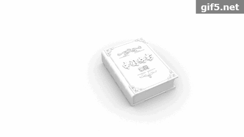 超细致精装书，魔法书，字典，词典，翻书模型