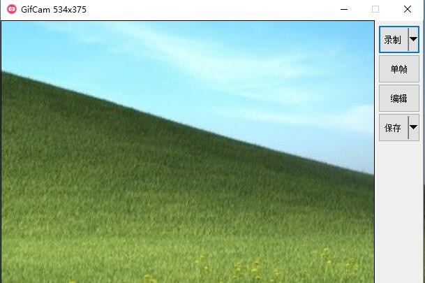 【GifCam】动态Gif图制作工具 单文件v6.5汉化版