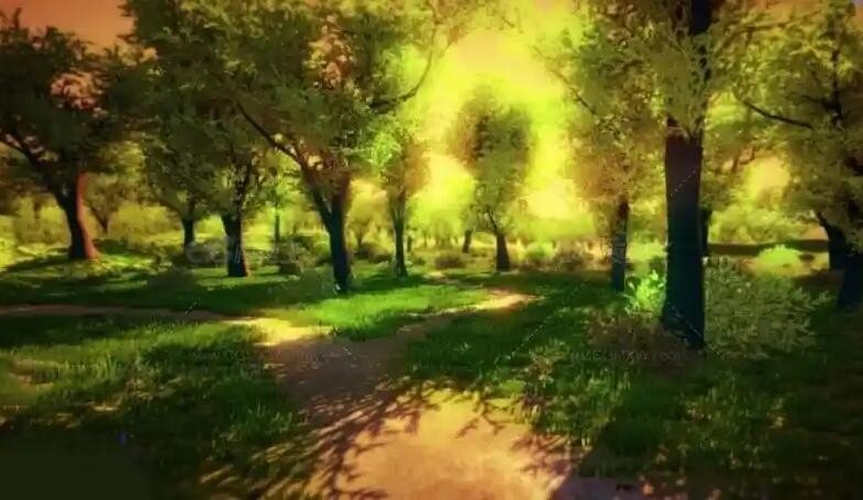 Unity3D场景 森林 树木自然风景环境