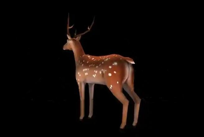 小鹿3D模型 有绑定
