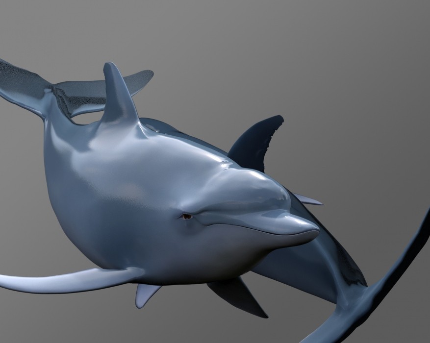 海豚3D模型 带骨骼绑定