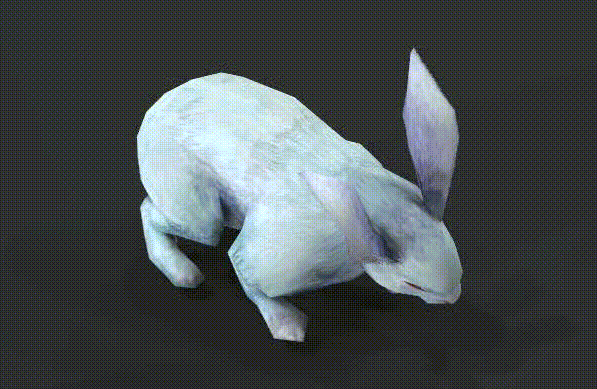  玉兔 白兔 兔子动画模型