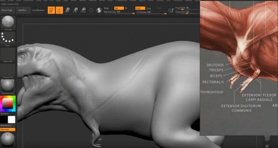 Zbrush恐龙模型雕刻CG教程