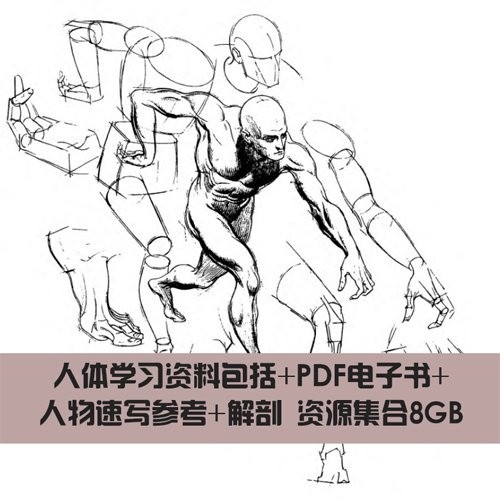 人体学习资料包括+PDF电子书+人物速写参考+解剖 资源集合
