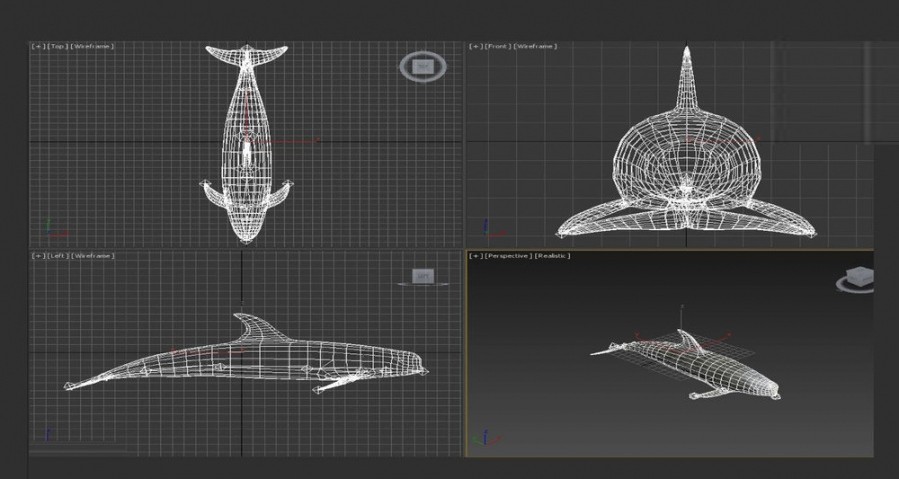 鲨鱼 鲸鱼 海豚各种大型鱼类3D模型