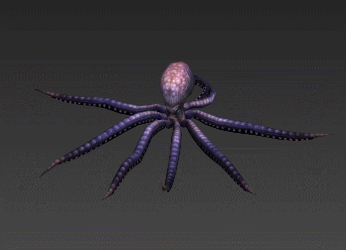 章鱼 八爪鱼3D模型加全套动作