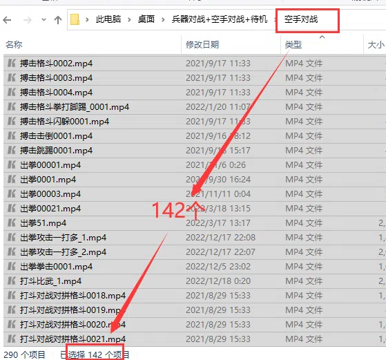 兵器对战+空手对战+待机300多个动画参考视频 附动画师参考软件AniLibrary