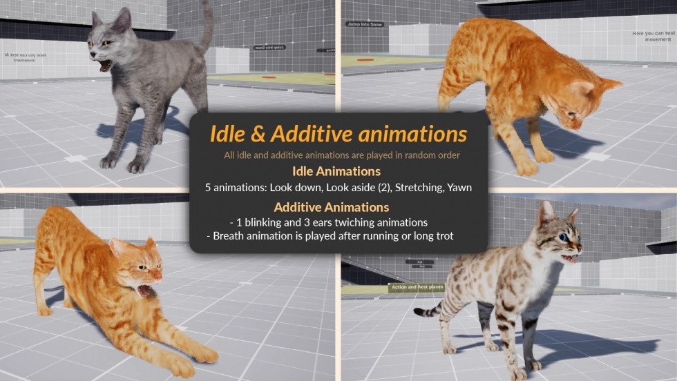 UE4虚幻5 AnimX꞉ Advanced Cats 高品质猫咪角色模型带动画