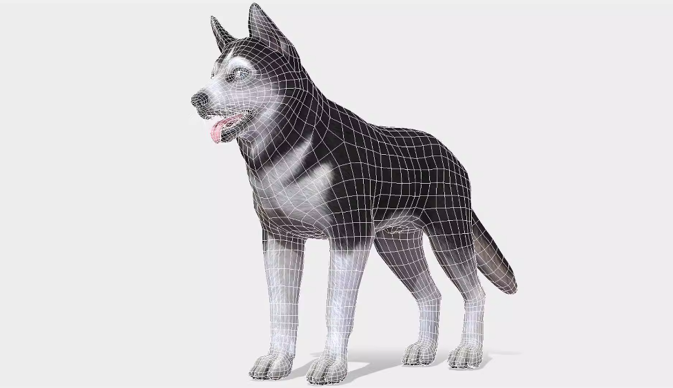 UE4虚幻5 Dog - Husky 哈士奇狗狗模型动画
