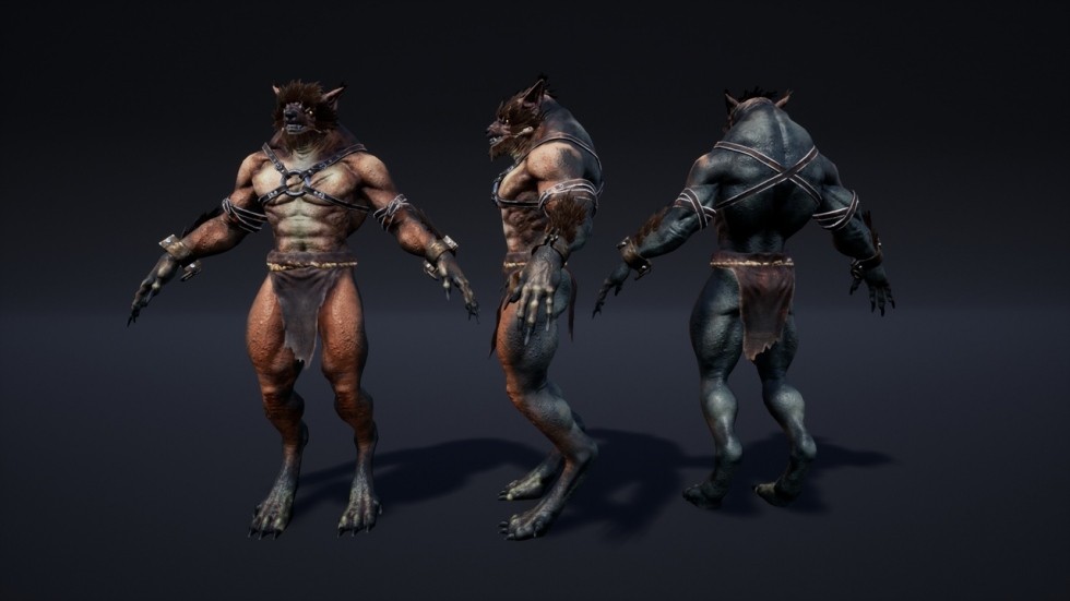 UE4虚幻5 Fantasy Characters (Pack) 奇幻人物套装角色模型