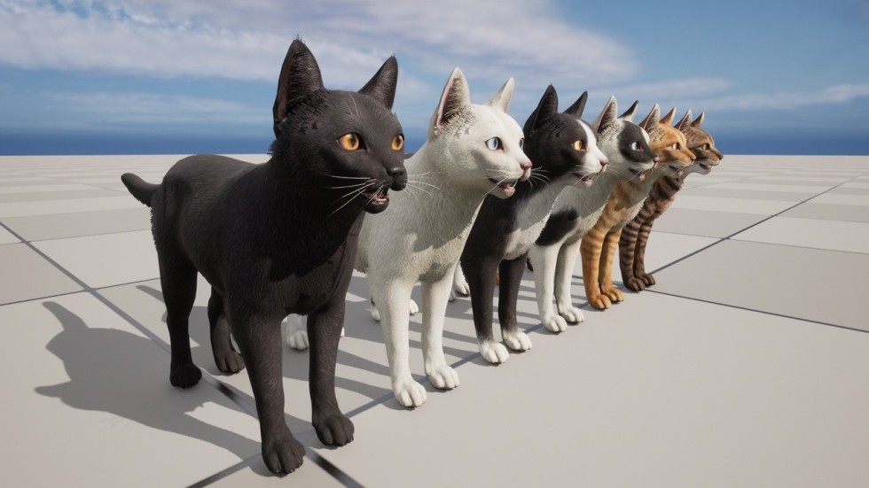 UE4虚幻5 Cats Pack 小猫猫咪角色模型带动画