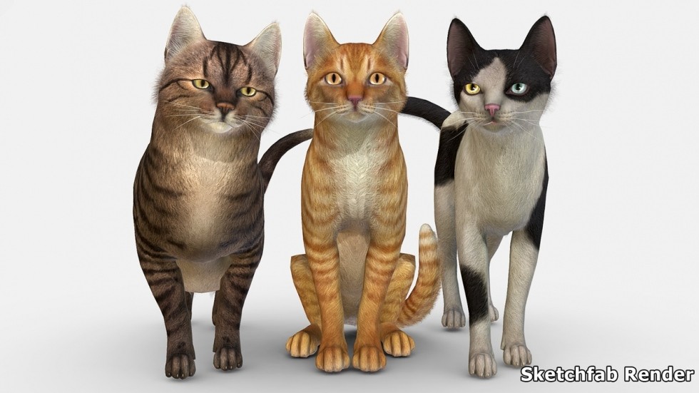 UE4虚幻5 Cats Pack 小猫猫咪角色模型带动画