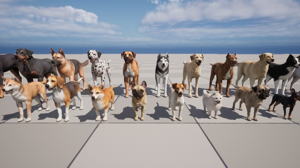 UE4虚幻5 Dogs Big pack 各个品种柯基牧羊犬八哥狗狗动物角色模型