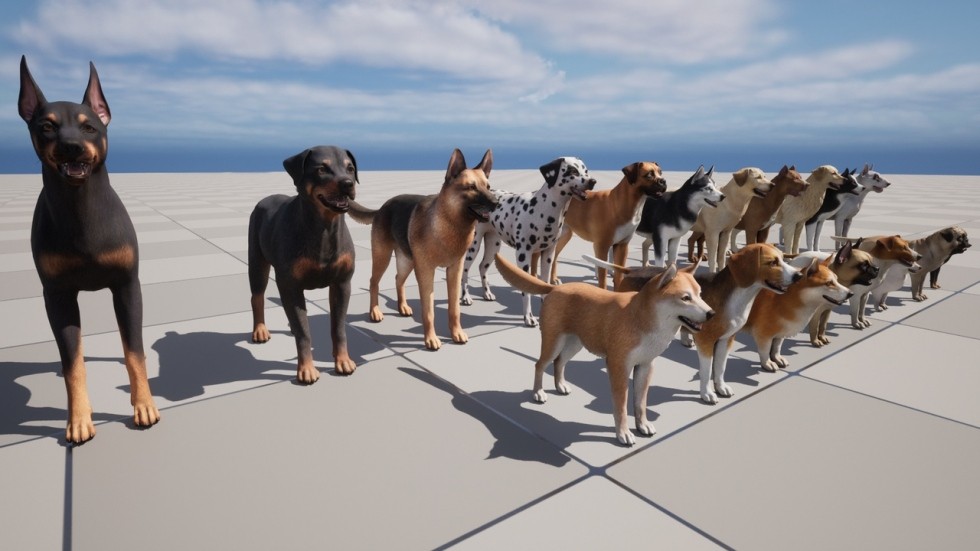 UE4虚幻5 Dogs Big pack 各个品种柯基牧羊犬八哥狗狗动物角色模型