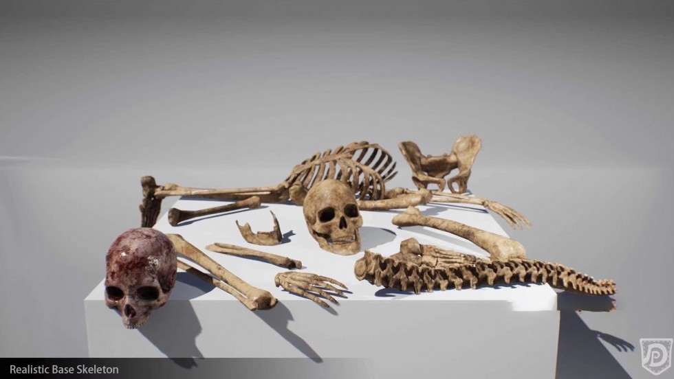 UE4虚幻5 Realistic Base Skeleton 写实人类基础骨架骷髅模型