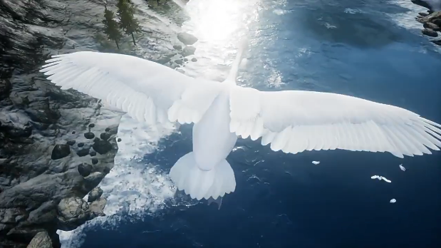 UE4虚幻5 Swan 白天鹅角色模型带动画