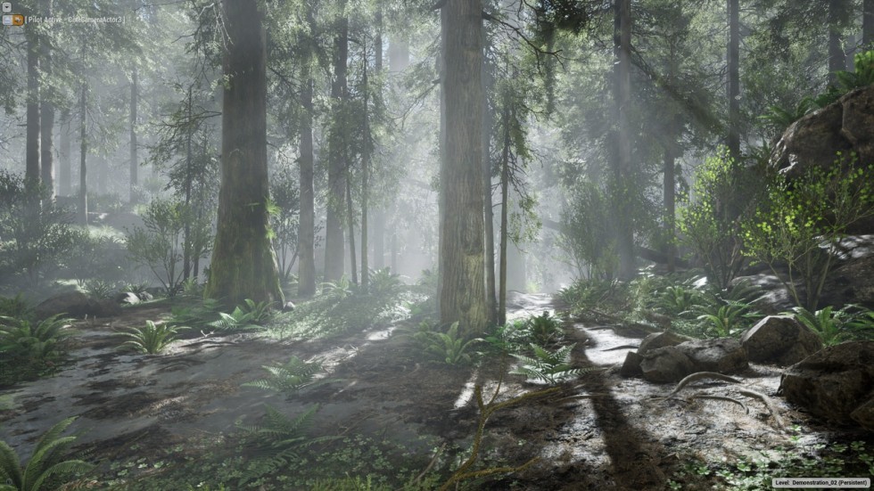 UE4虚幻5 The Forest 写实迷雾森林树木游戏场景