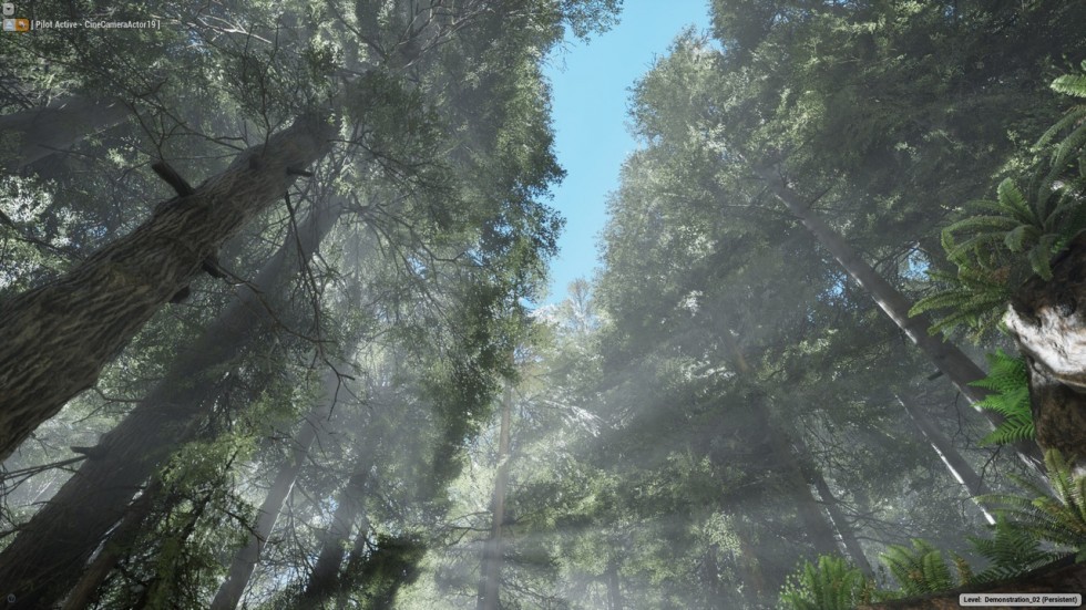 UE4虚幻5 The Forest 写实迷雾森林树木游戏场景